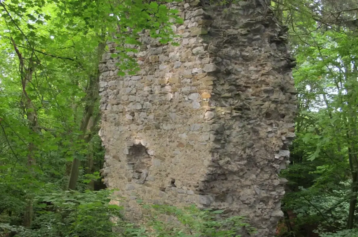 Zřícenina hradu Holštejn